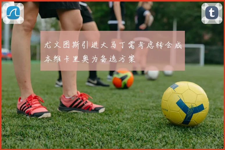 尤文图斯引进大马丁需考虑转会成本维卡里奥为备选方案